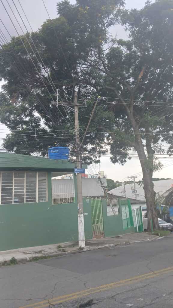 Árvore de grande porte preocupa famílias do Jardim Divinolândia arvore-de-grande-porte-preocupa-familias-do-jardim-divinolandia