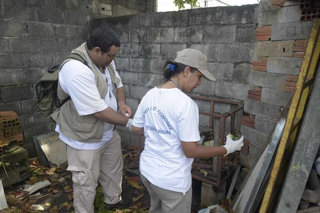 guarulhos-atua-contra-a-dengue-em-48-bairros-esta-semana