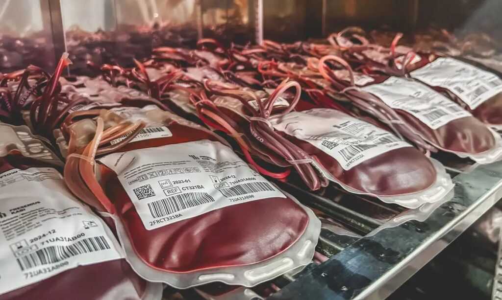 Dia Mundial do Doador de Sangue: uma única doação pode salvar 3 vidas dia-mundial-do-doador-de-sangue:-uma-unica-doacao-pode-salvar-3-vidas