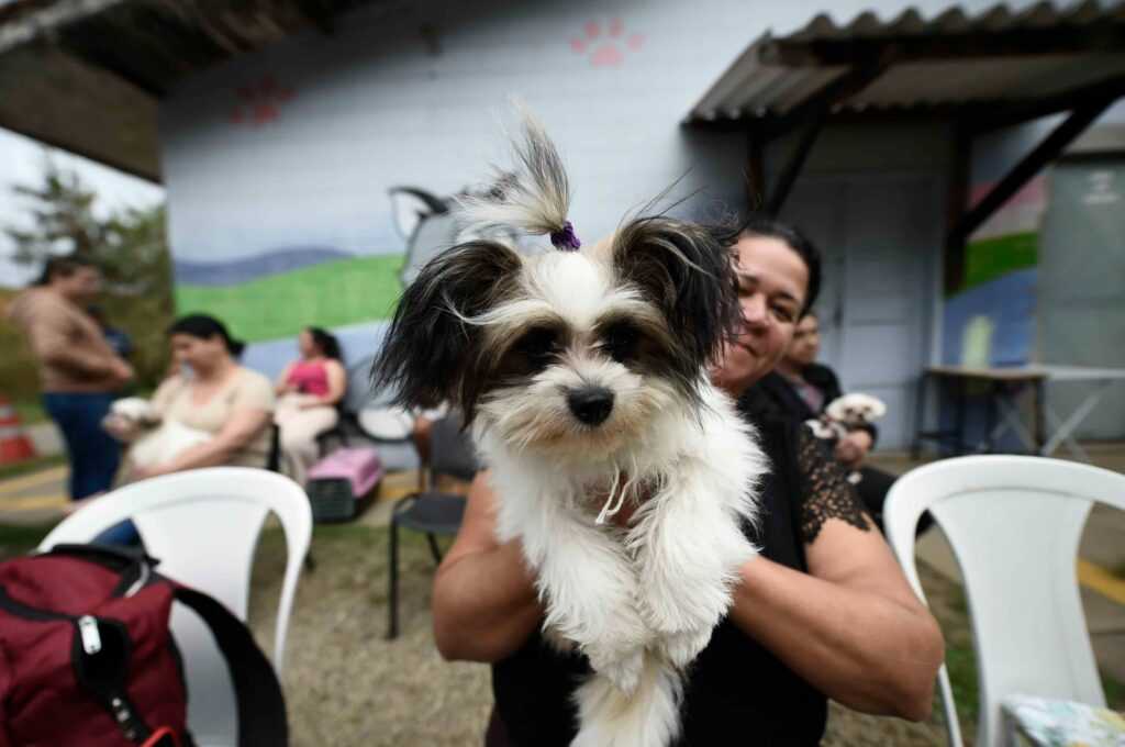 castra-pet-movel-atende-regiao-do-parque-jurema-na-proxima-semana