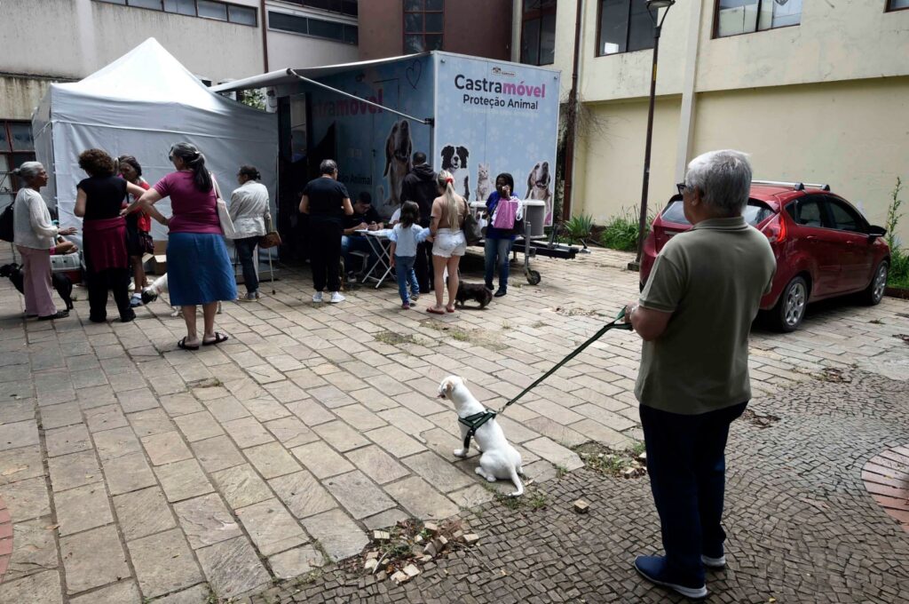 castrapet-atende-caes-e-gatos-no-bonsucesso-ate-quarta-feira