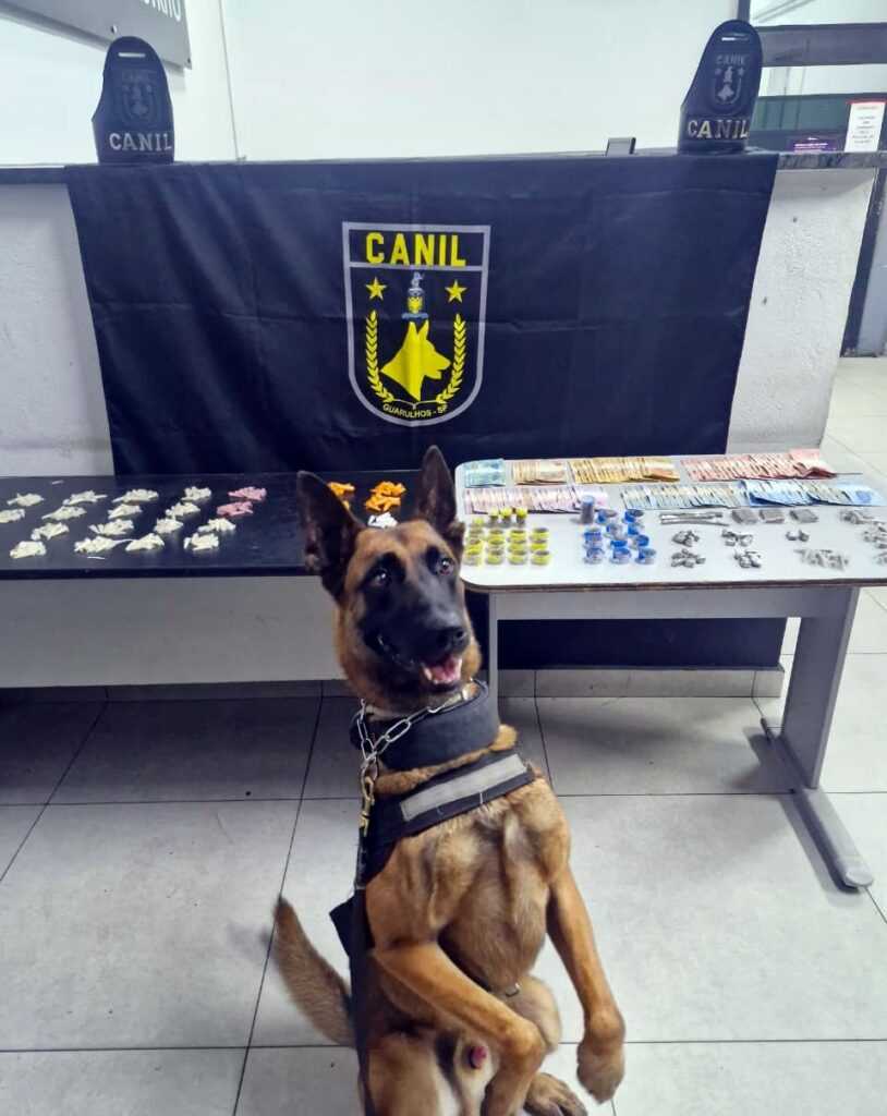gcm-de-guarulhos-prende-tres-traficantes-e-apreende-3,6-kg-de-drogas-em-acoes-contra-o-trafico
