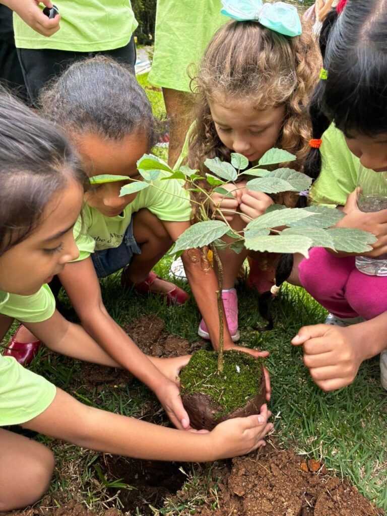 voluntarios-participam-de-plantio-de-arvores-nativas-da-mata-atlantica-no-bosque-maia