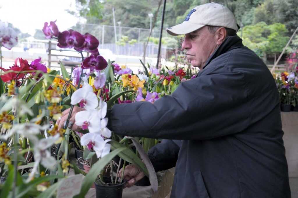 bosque-maia-recebe-oficina-gratuita-sobre-cultivo-de-orquideas
