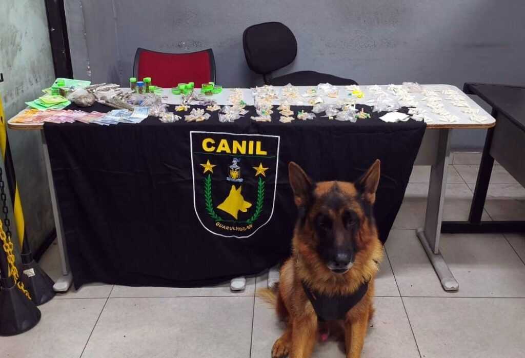 gcm-de-guarulhos-prende-tres-traficantes-e-apreende-1,8-kg-de-drogas