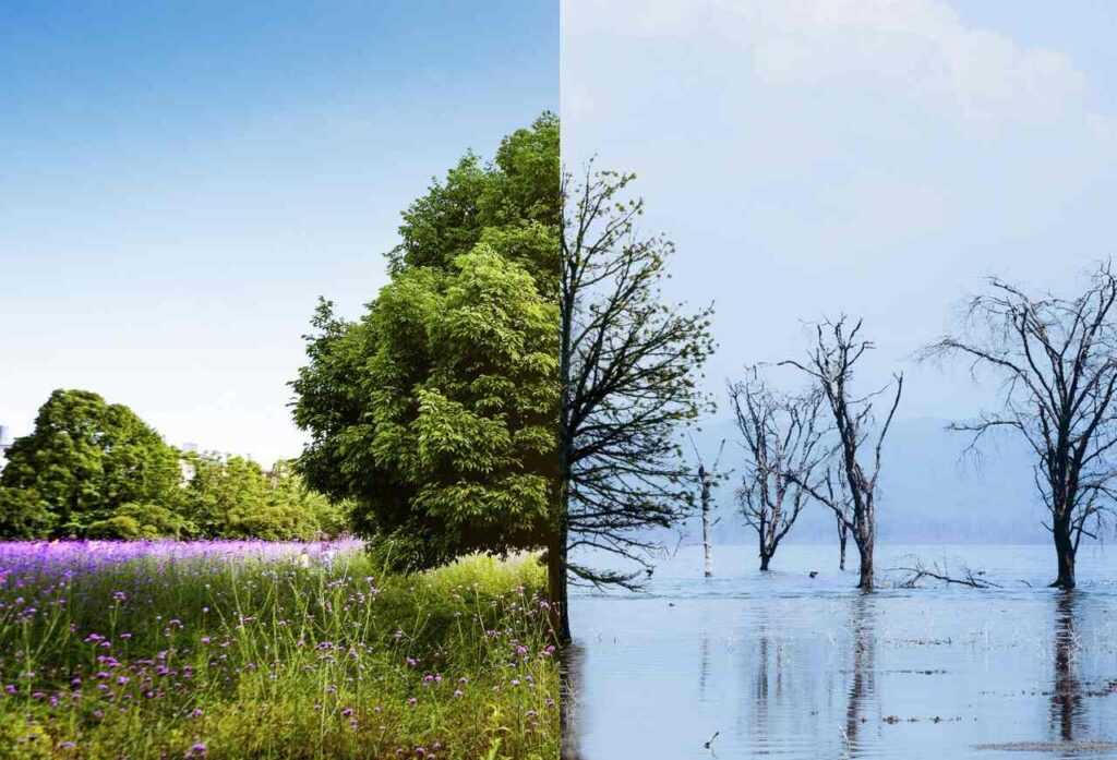 bosque-maia-recebe-evento-do-dia-mundial-da-agua-nesta-sexta-feira