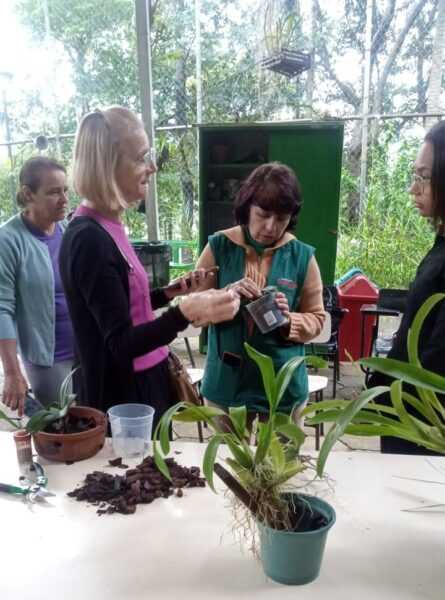 Orquídeas e minhocas fecham agenda ambiental de março no CEA Virgínia Ranali orquideas-e-minhocas-fecham-agenda-ambiental-de-marco-no-cea-virginia-ranali