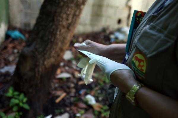 capacitacao-qualifica-equipes-para-resposta-rapida-a-febre-amarela