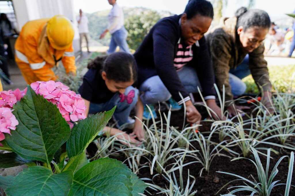 casa-da-mulher-recreio-sao-jorge-ganha-canteiros-com-plantas-e-flores-ornamentais