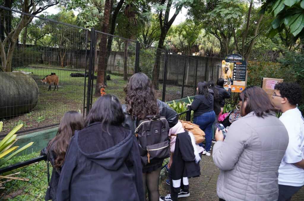 Zoológico Municipal antecipa fechamento no domingo em razão do jogo do Brasil zoologico-municipal-antecipa-fechamento-no-domingo-em-razao-do-jogo-do-brasil