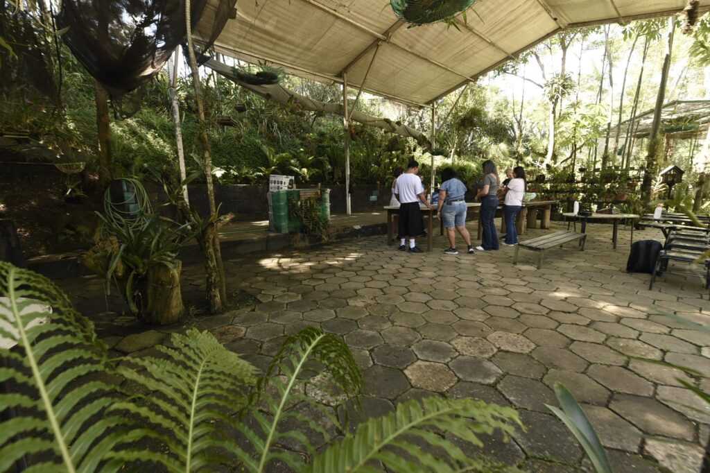 prefeitura-oferece-atividades-gratuitas-para-as-criancas-nas-ferias