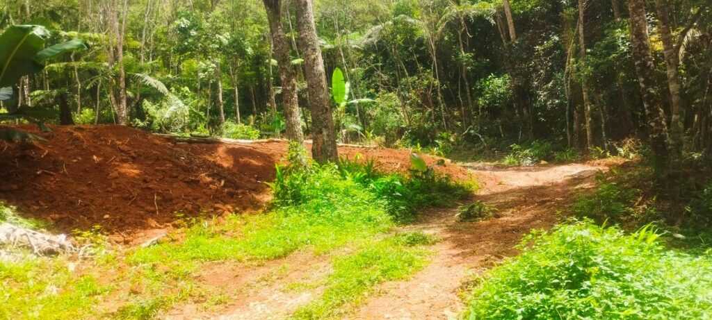 gcm-de-guarulhos-flagra-crime-ambiental-no-parque-estadual-itaberaba